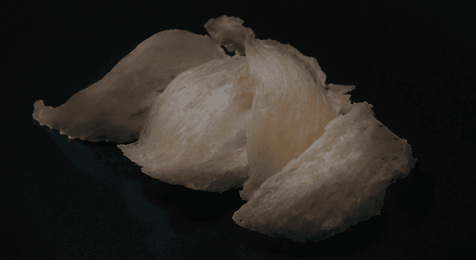 Premium bird nests from Borneo